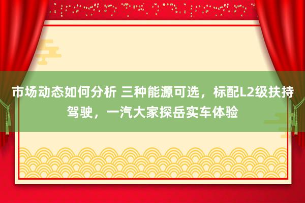 市场动态如何分析 三种能源可选，标配L2级扶持驾驶，一汽大家探岳实车体验