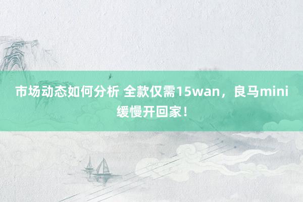 市场动态如何分析 全款仅需15wan，良马mini缓慢开回家！