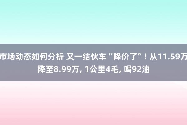 市场动态如何分析 又一结伙车“降价了”! 从11.59万降至8.99万, 1公里4毛, 喝92油