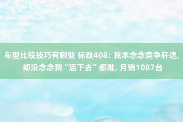 车型比较技巧有哪些 标致408: 我本念念竞争轩逸, 却没念念到“活下去”都难, 月销1087台