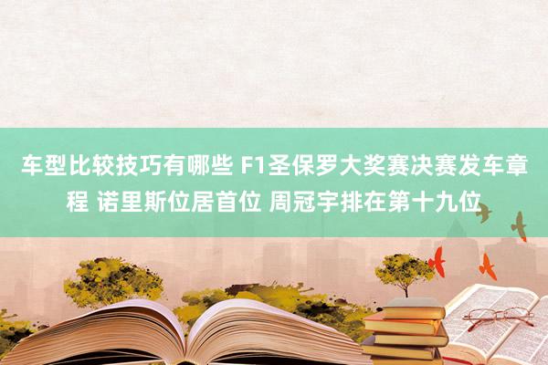 车型比较技巧有哪些 F1圣保罗大奖赛决赛发车章程 诺里斯位居首位 周冠宇排在第十九位