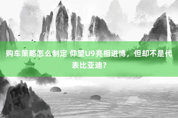 购车策略怎么制定 仰望U9亮相进博，但却不是代表比亚迪？