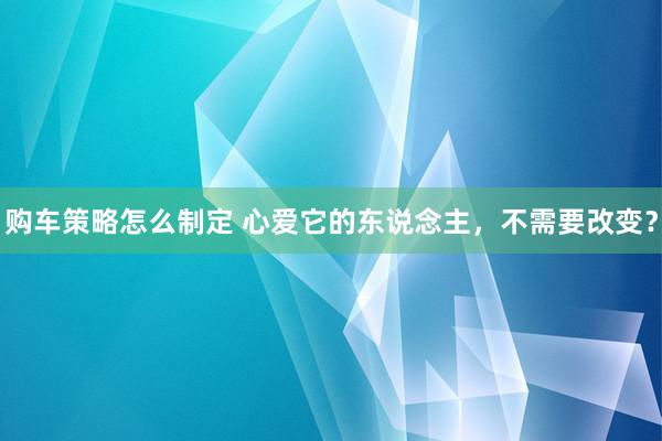 购车策略怎么制定 心爱它的东说念主，不需要改变？