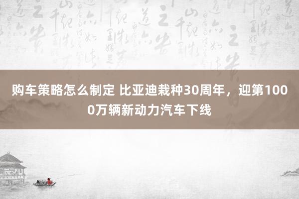 购车策略怎么制定 比亚迪栽种30周年，迎第1000万辆新动力汽车下线