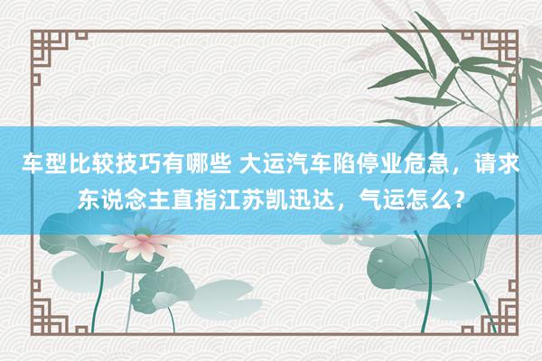 车型比较技巧有哪些 大运汽车陷停业危急，请求东说念主直指江苏凯迅达，气运怎么？