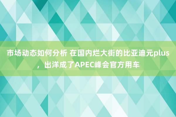 市场动态如何分析 在国内烂大街的比亚迪元plus，出洋成了APEC峰会官方用车