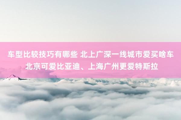 车型比较技巧有哪些 北上广深一线城市爱买啥车 北京可爱比亚迪、上海广州更爱特斯拉