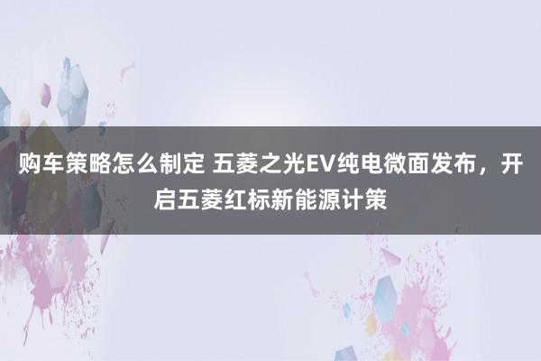 购车策略怎么制定 五菱之光EV纯电微面发布，开启五菱红标新能源计策