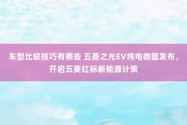 车型比较技巧有哪些 五菱之光EV纯电微面发布，开启五菱红标新能源计策