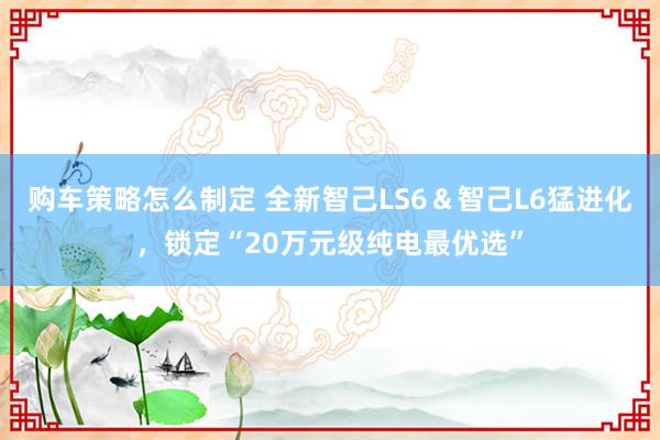 购车策略怎么制定 全新智己LS6＆智己L6猛进化，锁定“20万元级纯电最优选”