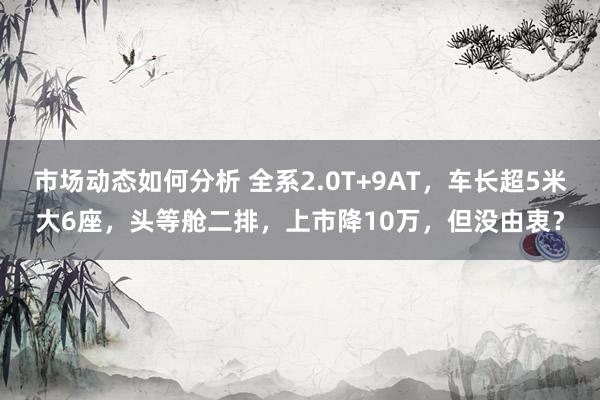 市场动态如何分析 全系2.0T+9AT，车长超5米大6座，头等舱二排，上市降10万，但没由衷？