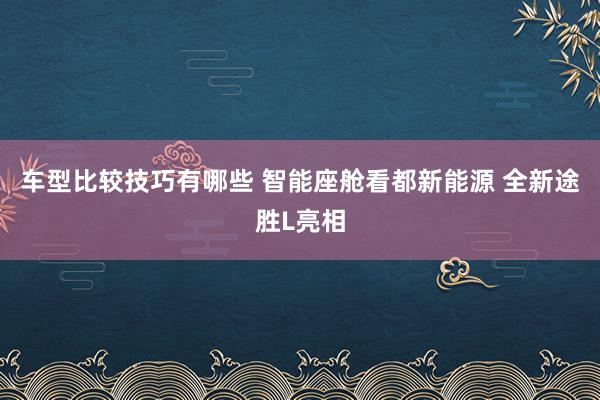 车型比较技巧有哪些 智能座舱看都新能源 全新途胜L亮相