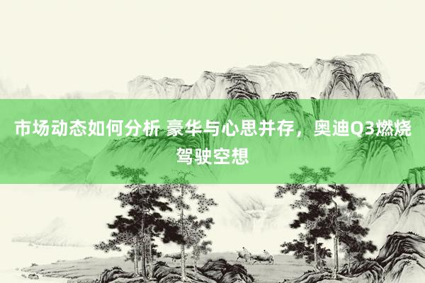 市场动态如何分析 豪华与心思并存，奥迪Q3燃烧驾驶空想