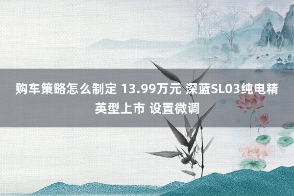 购车策略怎么制定 13.99万元 深蓝SL03纯电精英型上市 设置微调