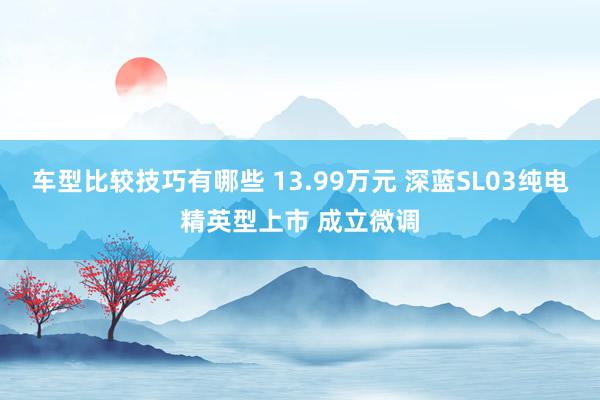 车型比较技巧有哪些 13.99万元 深蓝SL03纯电精英型上市 成立微调