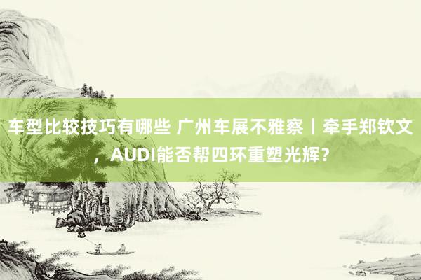 车型比较技巧有哪些 广州车展不雅察丨牵手郑钦文，AUDI能否帮四环重塑光辉？