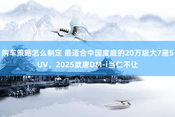 购车策略怎么制定 最适合中国度庭的20万级大7座SUV，2025款唐DM-i当仁不让