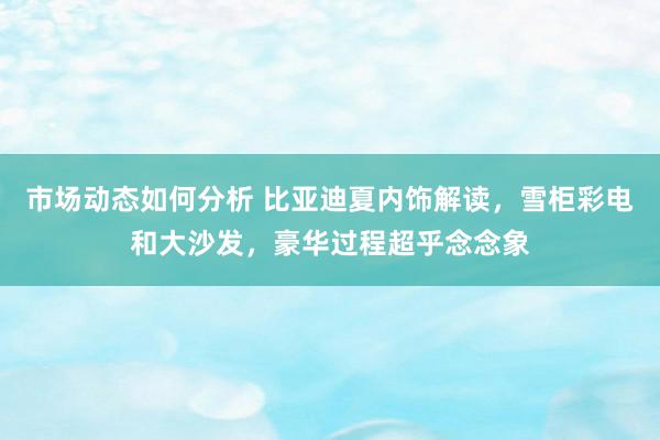 市场动态如何分析 比亚迪夏内饰解读，雪柜彩电和大沙发，豪华过程超乎念念象