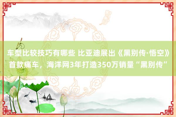 车型比较技巧有哪些 比亚迪展出《黑别传·悟空》首款痛车，海洋网3年打造350万销量“黑别传”