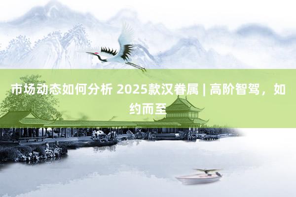 市场动态如何分析 2025款汉眷属 | 高阶智驾，如约而至