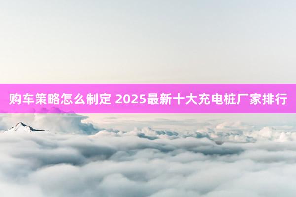 购车策略怎么制定 2025最新十大充电桩厂家排行