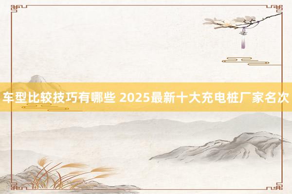 车型比较技巧有哪些 2025最新十大充电桩厂家名次