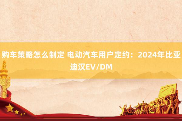 购车策略怎么制定 电动汽车用户定约：2024年比亚迪汉EV/DM