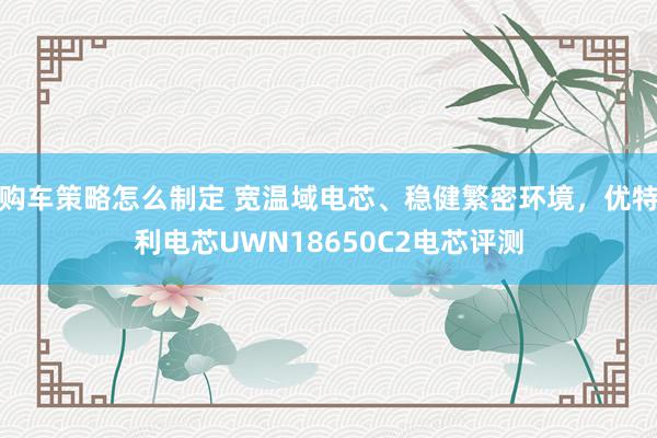 购车策略怎么制定 宽温域电芯、稳健繁密环境，优特利电芯UWN18650C2电芯评测