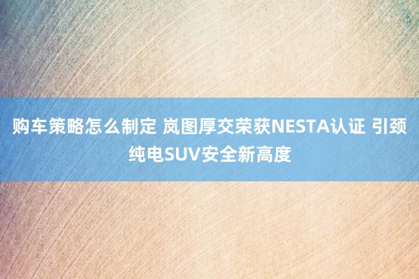 购车策略怎么制定 岚图厚交荣获NESTA认证 引颈纯电SUV安全新高度