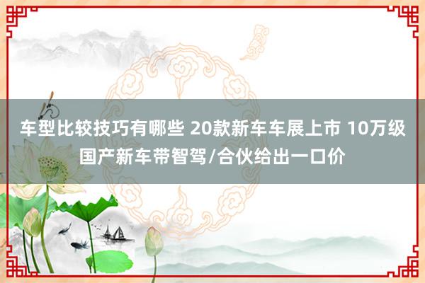 车型比较技巧有哪些 20款新车车展上市 10万级国产新车带智驾/合伙给出一口价