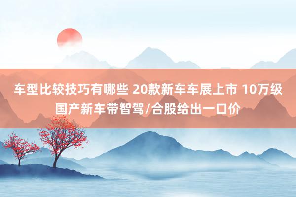 车型比较技巧有哪些 20款新车车展上市 10万级国产新车带智驾/合股给出一口价