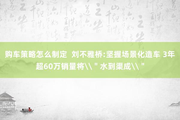 购车策略怎么制定  刘不雅桥:坚握场景化造车 3年超60万销量将\＂水到渠成\＂