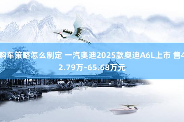 购车策略怎么制定 一汽奥迪2025款奥迪A6L上市 售42.79万-65.68万元