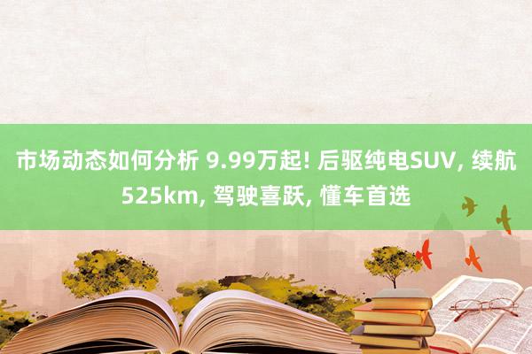 市场动态如何分析 9.99万起! 后驱纯电SUV, 续航525km, 驾驶喜跃, 懂车首选