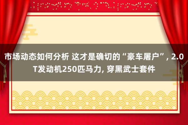 市场动态如何分析 这才是确切的“豪车屠户”, 2.0T发动机250匹马力, 穿黑武士套件