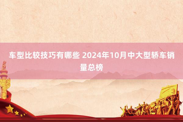 车型比较技巧有哪些 2024年10月中大型轿车销量总榜