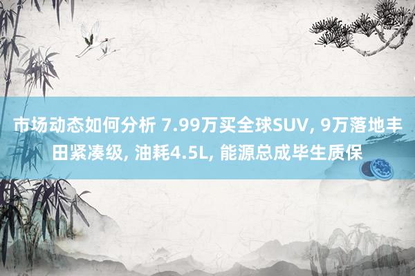 市场动态如何分析 7.99万买全球SUV, 9万落地丰田紧凑级, 油耗4.5L, 能源总成毕生质保