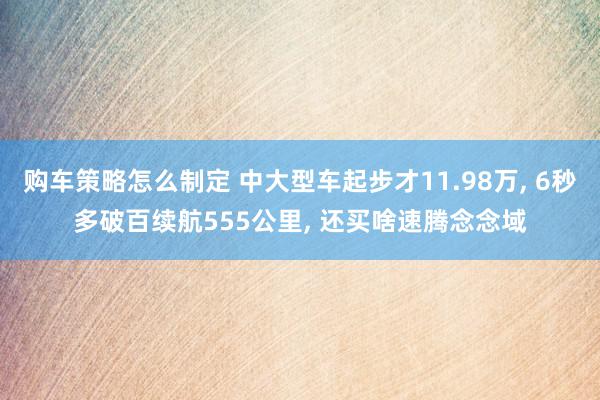 购车策略怎么制定 中大型车起步才11.98万, 6秒多破百续航555公里, 还买啥速腾念念域