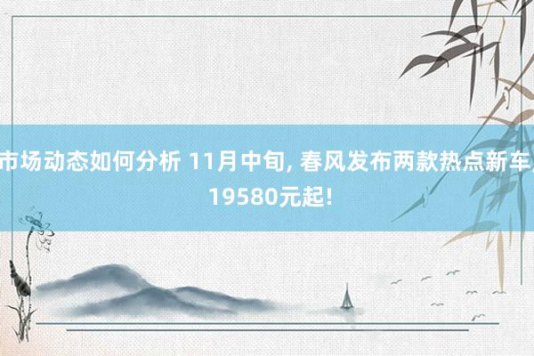 市场动态如何分析 11月中旬, 春风发布两款热点新车, 19580元起!