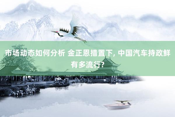 市场动态如何分析 金正恩措置下, 中国汽车持政鲜有多流行?