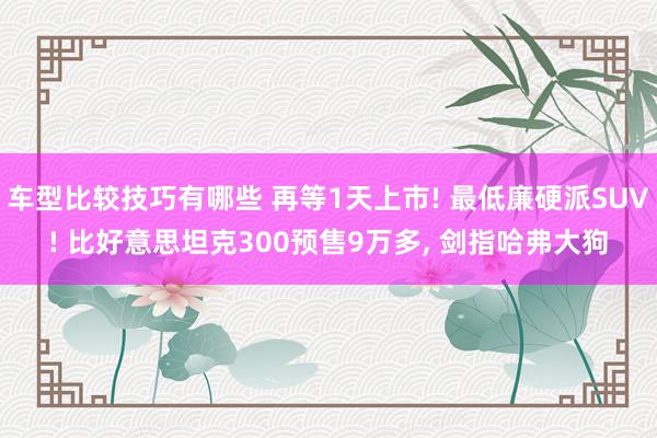 车型比较技巧有哪些 再等1天上市! 最低廉硬派SUV! 比好意思坦克300预售9万多, 剑指哈弗大狗