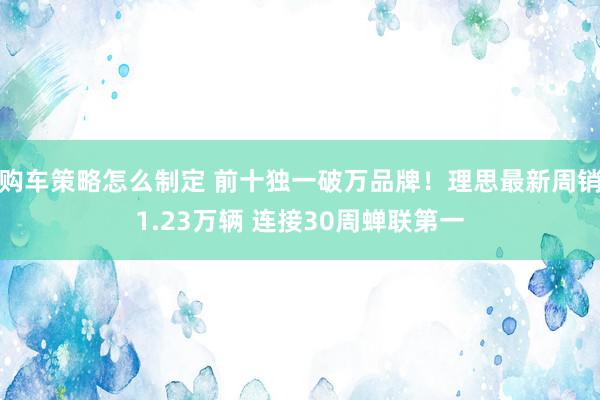 购车策略怎么制定 前十独一破万品牌！理思最新周销1.23万辆 连接30周蝉联第一