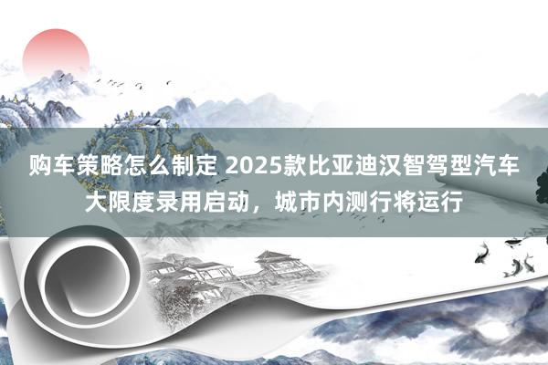 购车策略怎么制定 2025款比亚迪汉智驾型汽车大限度录用启动，城市内测行将运行