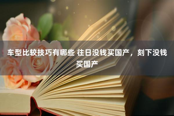 车型比较技巧有哪些 往日没钱买国产，刻下没钱买国产