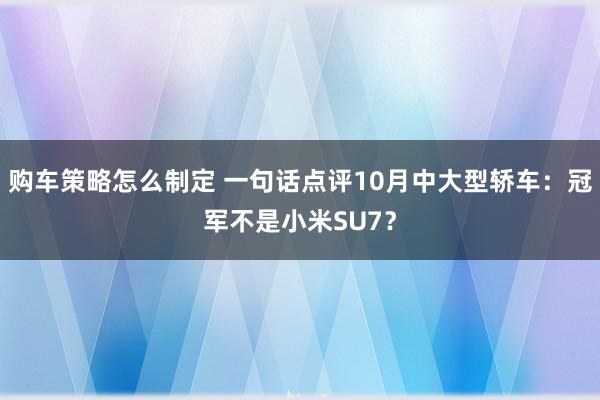 购车策略怎么制定 一句话点评10月中大型轿车：冠军不是小米SU7？