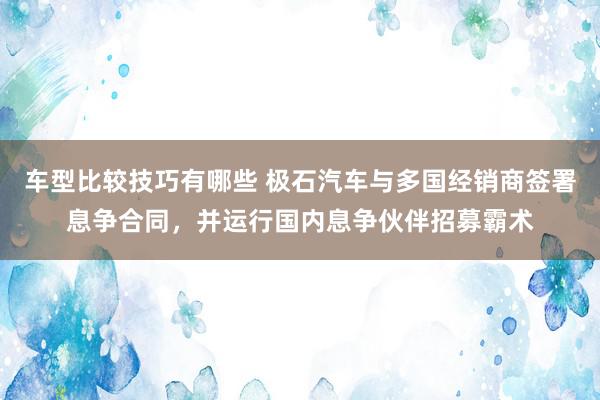 车型比较技巧有哪些 极石汽车与多国经销商签署息争合同，并运行国内息争伙伴招募霸术