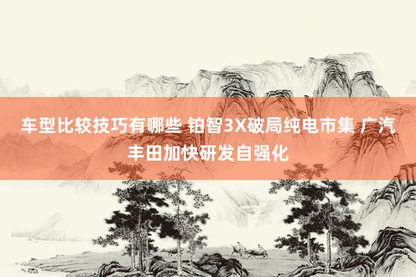 车型比较技巧有哪些 铂智3X破局纯电市集 广汽丰田加快研发自强化