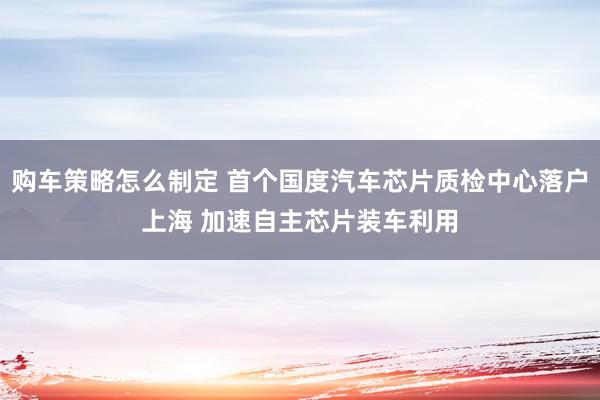 购车策略怎么制定 首个国度汽车芯片质检中心落户上海 加速自主芯片装车利用