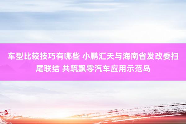 车型比较技巧有哪些 小鹏汇天与海南省发改委扫尾联结 共筑飘零汽车应用示范岛