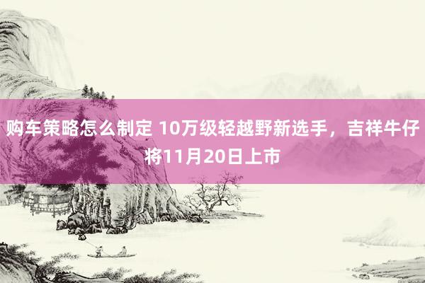 购车策略怎么制定 10万级轻越野新选手，吉祥牛仔将11月20日上市